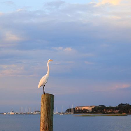Stoney Creek Villa 299 Pulau Hilton Head Luaran gambar