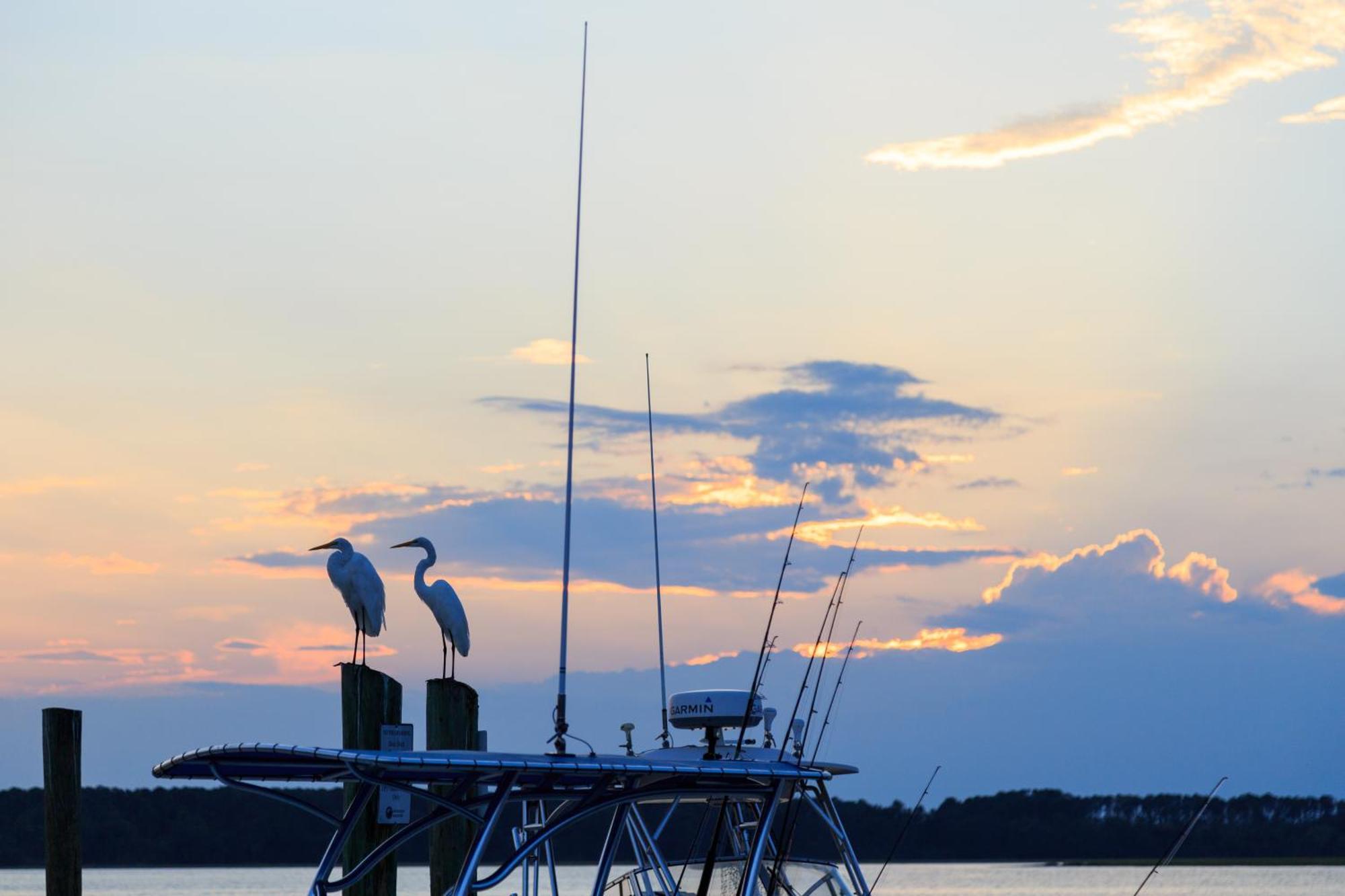 Stoney Creek Villa 299 Pulau Hilton Head Luaran gambar