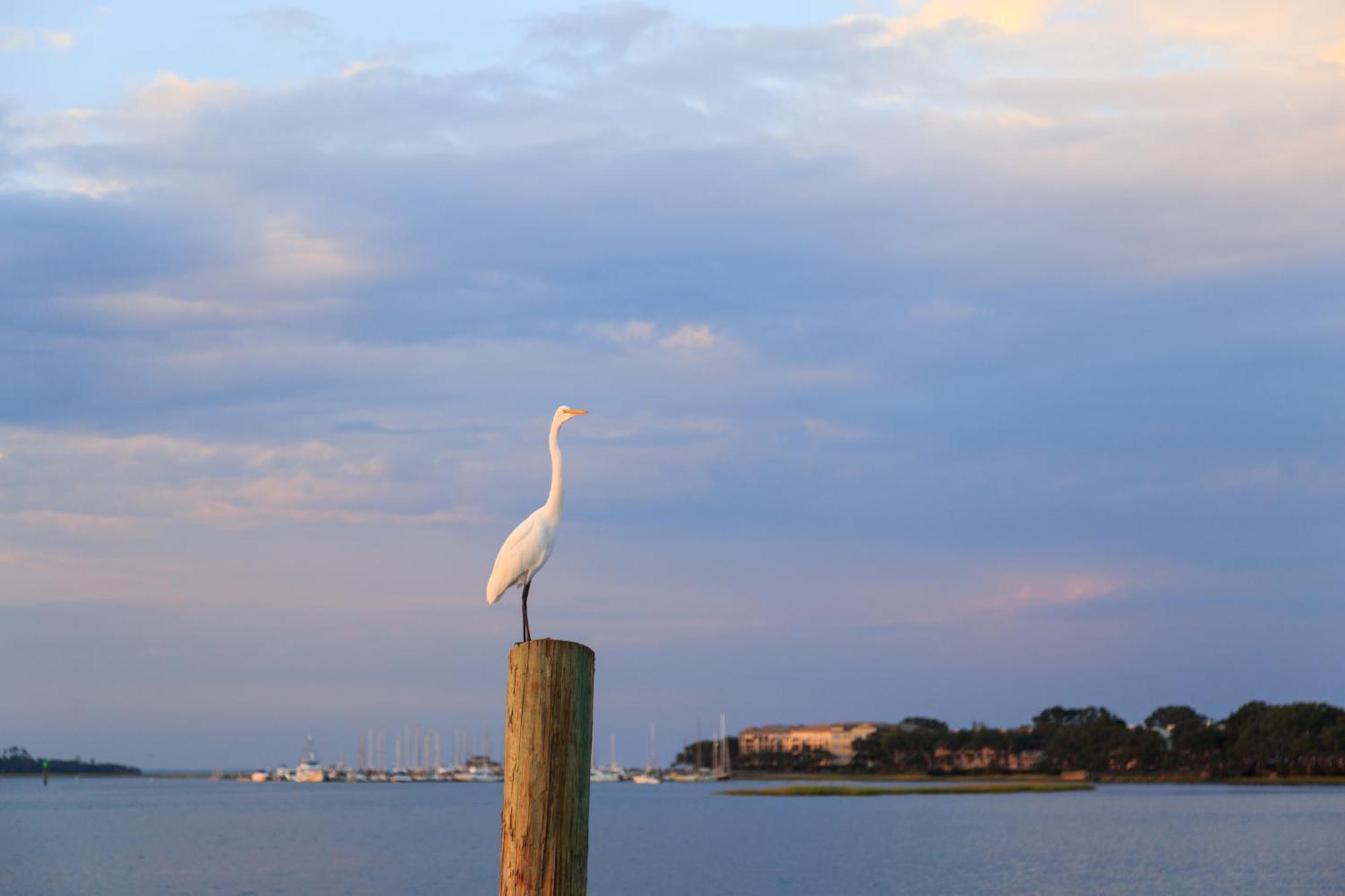 Stoney Creek Villa 299 Pulau Hilton Head Luaran gambar