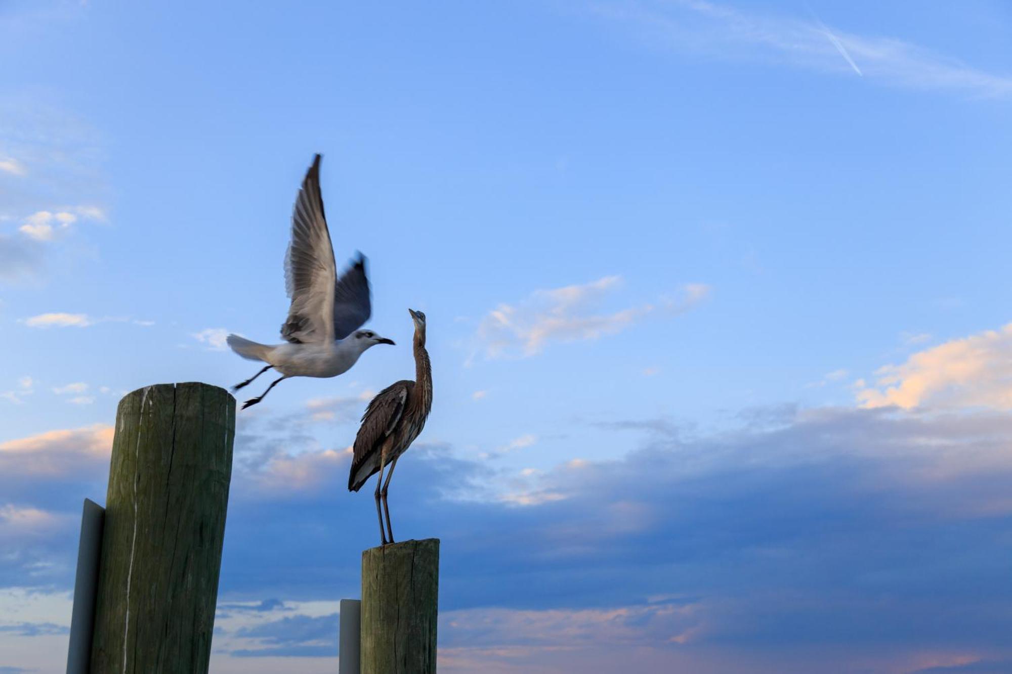 Stoney Creek Villa 299 Pulau Hilton Head Luaran gambar