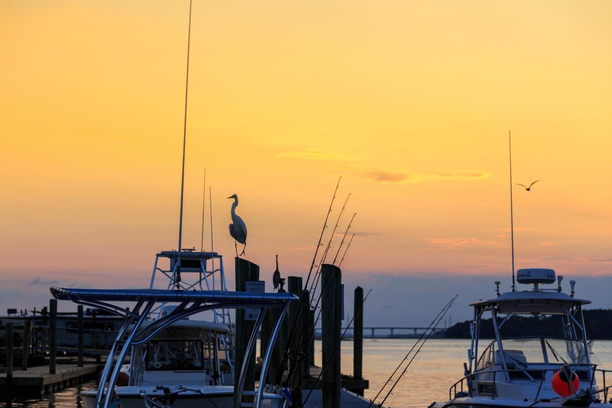 Stoney Creek Villa 299 Pulau Hilton Head Luaran gambar